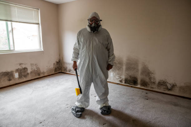 Best Mold Remediation  in Valley City, ND